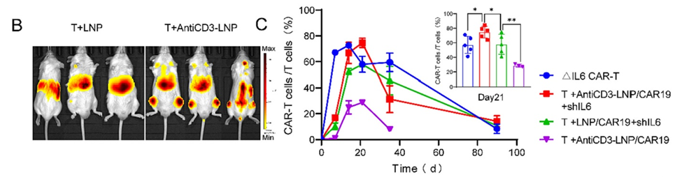 LNP在小鼠体内的生物分布,以及在体内产生的CAR-T细胞量 LNP在小鼠体内的生物分布,以及在体内产生的CAR-T细胞量