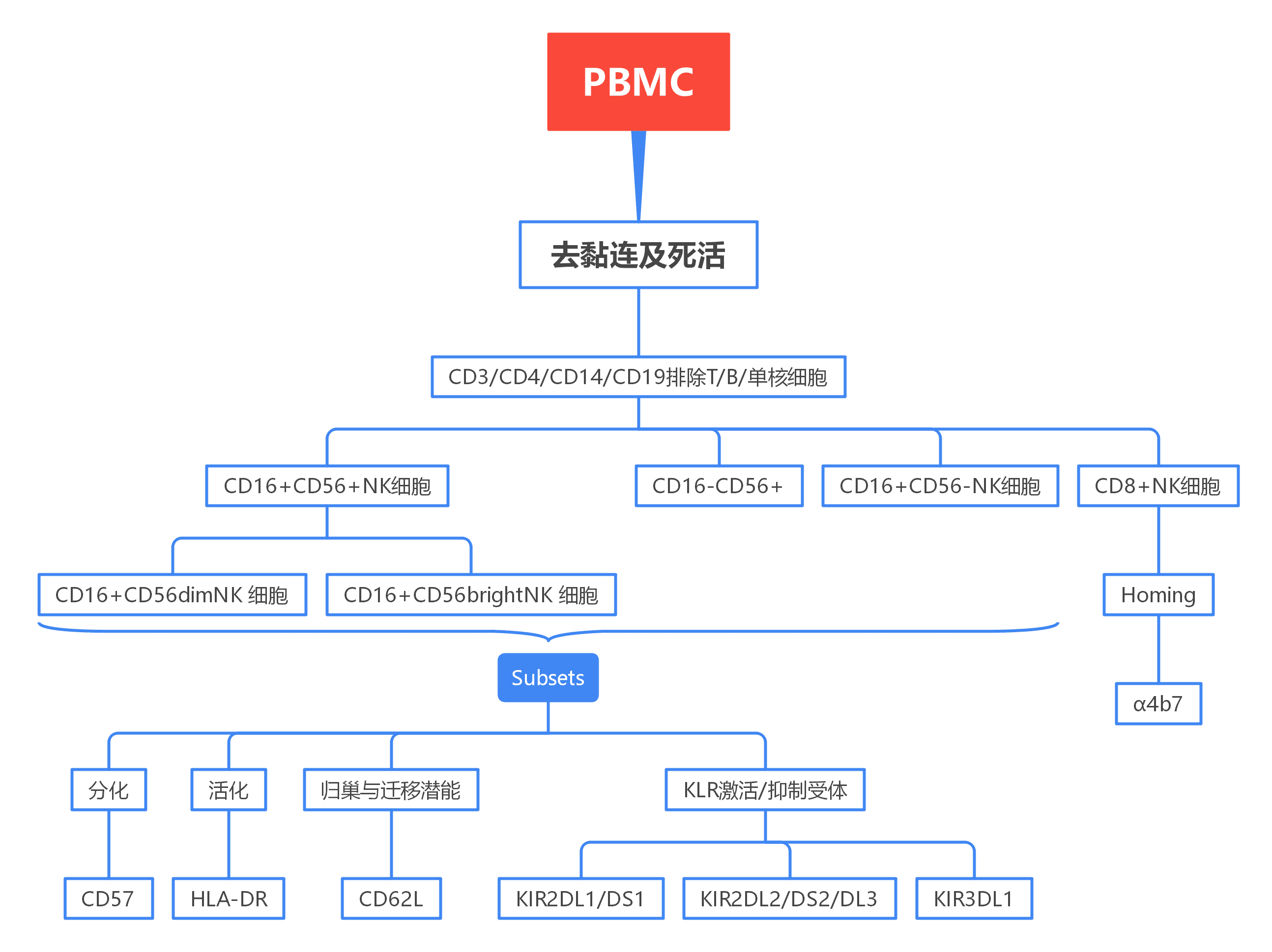 OMIP-007:14色Panel多层面分析人NK细胞表型