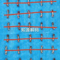 动物模型构建-疾病动物模型构建