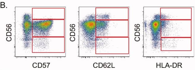 OMIP-007:14色Panel多层面分析人NK细胞表型