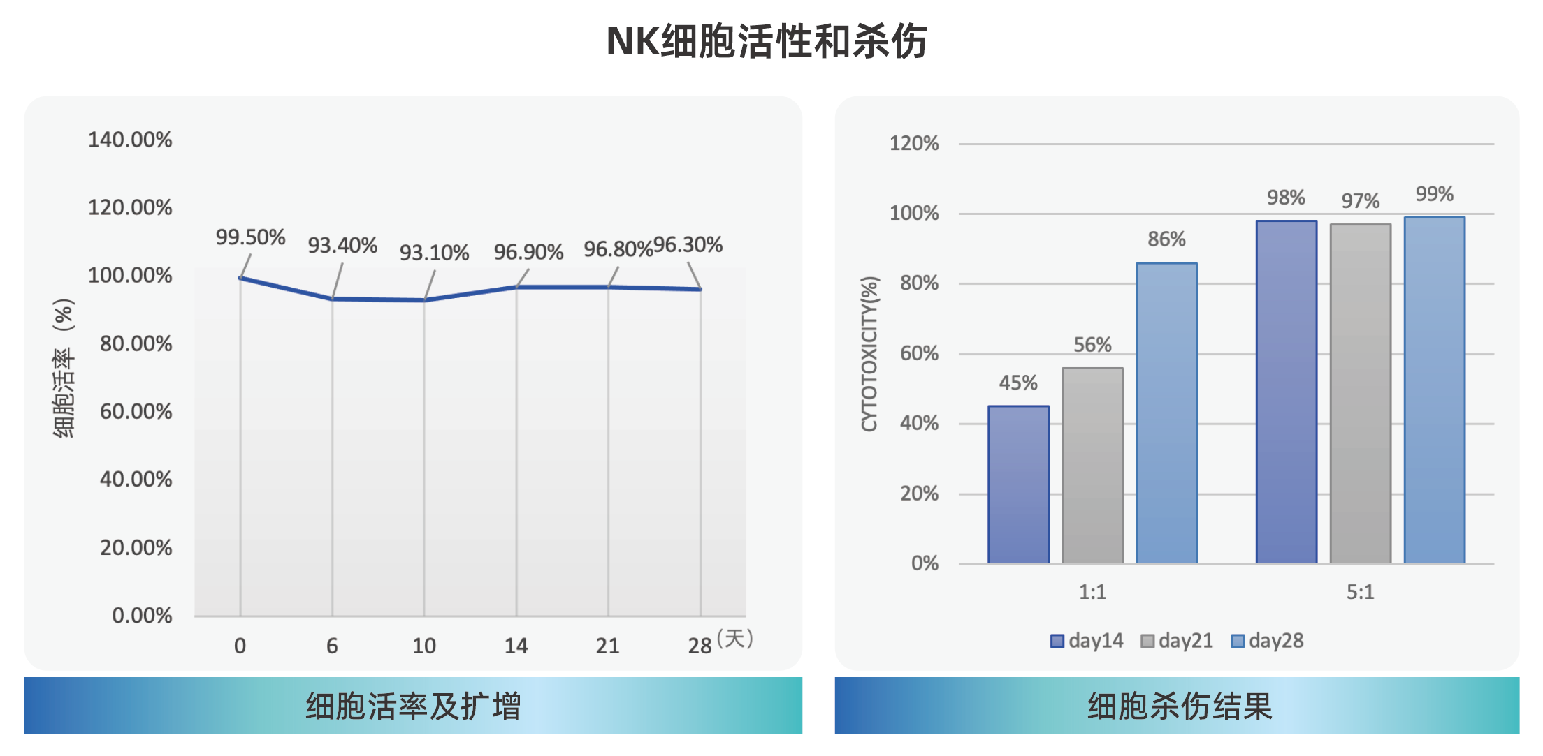 喜报 | 华辰生物NK细胞制备体系获美国FDA DMF备案,推动细胞治疗产业标准化发展