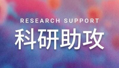 科研助攻 ｜ AI 如何成为药物发现“加速器”