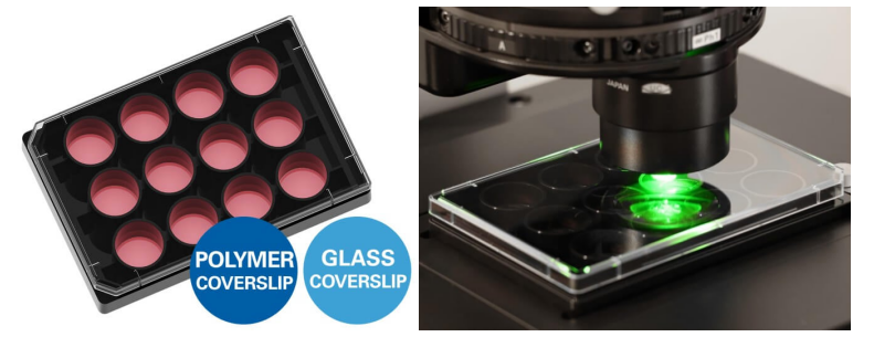 德国ibidi µ-Plate 12 Well共聚焦12孔培