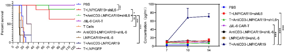 体内产生的CAR-T细胞显著延长了白血病小鼠生存期 体内产生的CAR-T细胞显著延长了白血病小鼠生存期