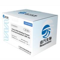 动物RNA免疫共沉淀 RIP试剂盒 | Animal RNA-Binding Protein Immunoprecipitation (RIP) Kit