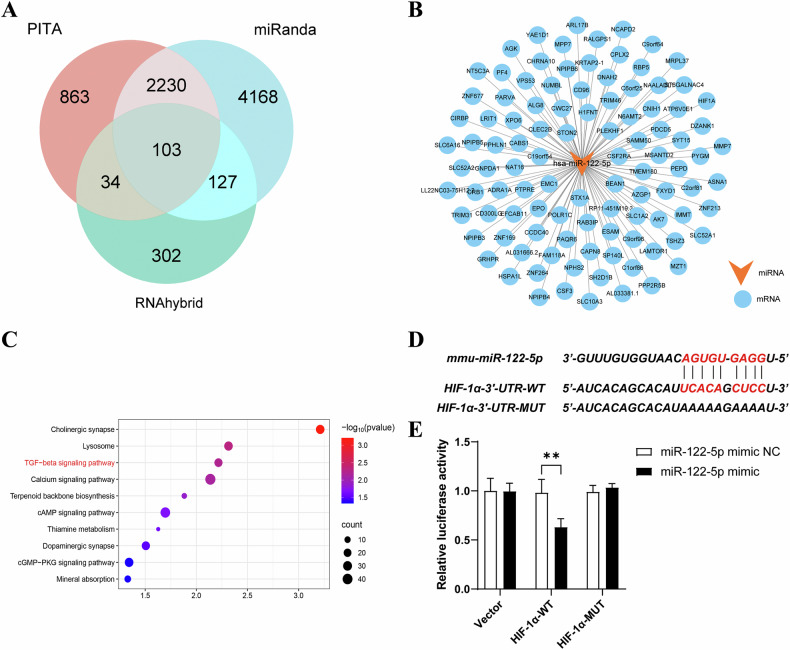 生物信息学分析 生物信息学分析