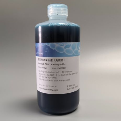 蛋白染液  Feto SDS-PAGE染色液/蛋白快速染液（免脱色）