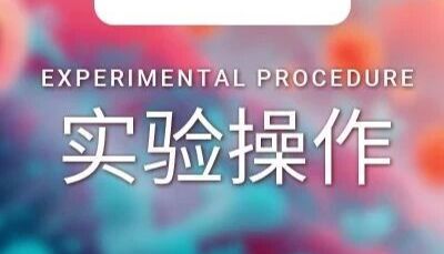实验操作 ｜ 如何成功做出小鼠小肠类器官 详细实操全流程, 一文 Get！