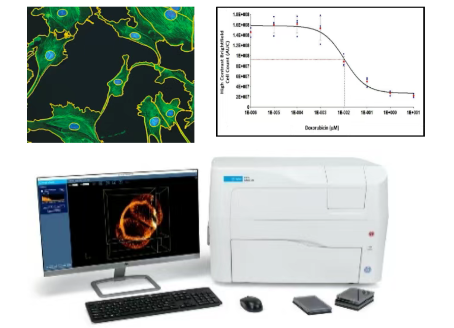 会议邀请 | 健康工程国际前沿科技论坛,安捷伦细胞分析与您相约深圳