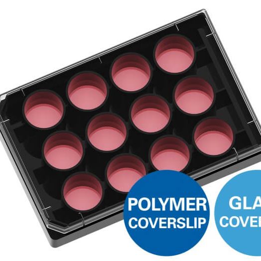 德国ibidi µ-Plate 12 Well共聚焦12孔培养板 81226 81221 81227