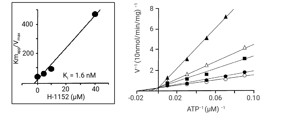 EC50 如何测 与 IC50, ED50 有何区别 常见的生物活性数值大盘点! (最全汇总)
