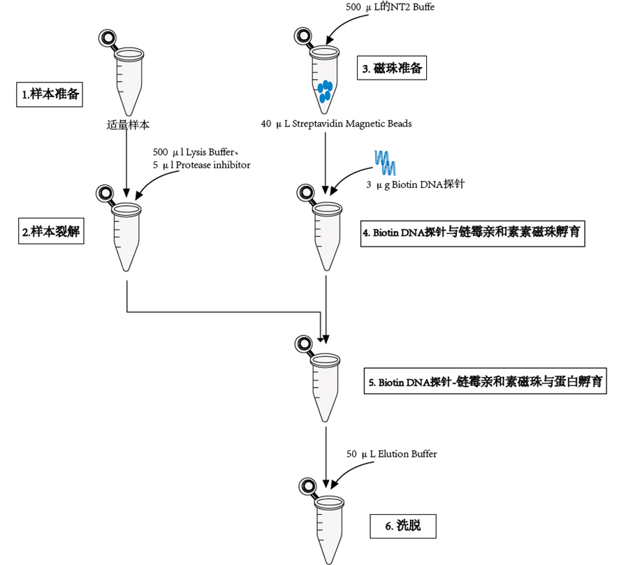 产品细节图片1