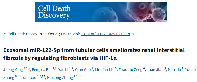 外泌体藏“纤”机：miR-122-5p靶向HIF-1α，为肾间质纤维化研究破局！