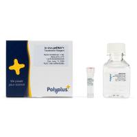 Sartorius-polyplus 101000122 转染试剂in vivo-jetRNA+ 1ml