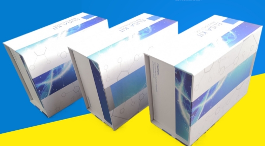 为确保试剂盒在运输过程中符合储存条件，可以采取哪些措施？