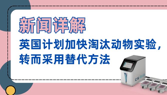 器官芯片动态 | 英国计划加快淘汰动物实验，转而采用替代方法