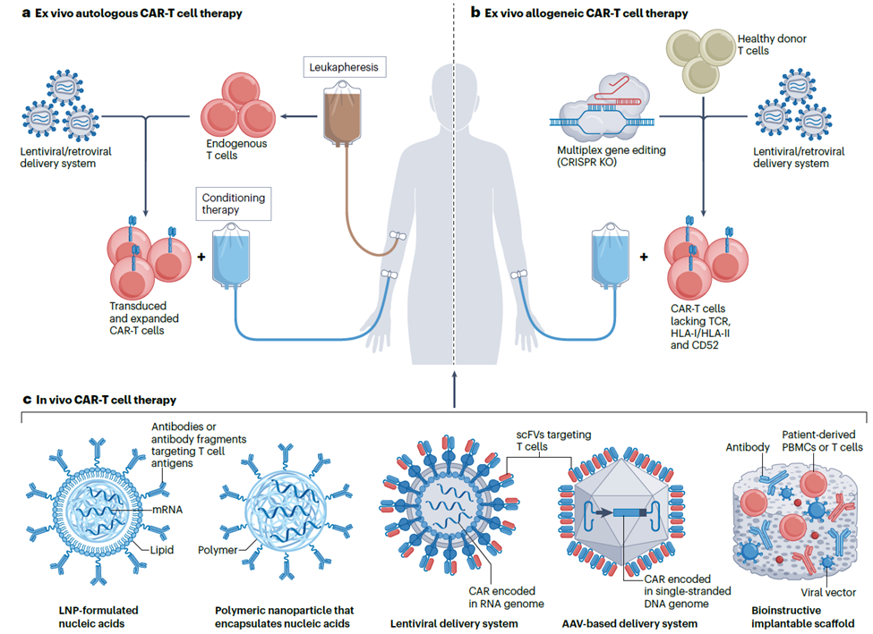 体内自体CAR-T 体内自体CAR-T