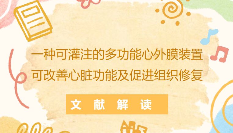 文献解读|一种可灌注的多功能心外膜装置，可改善心脏功能及促进组织修复