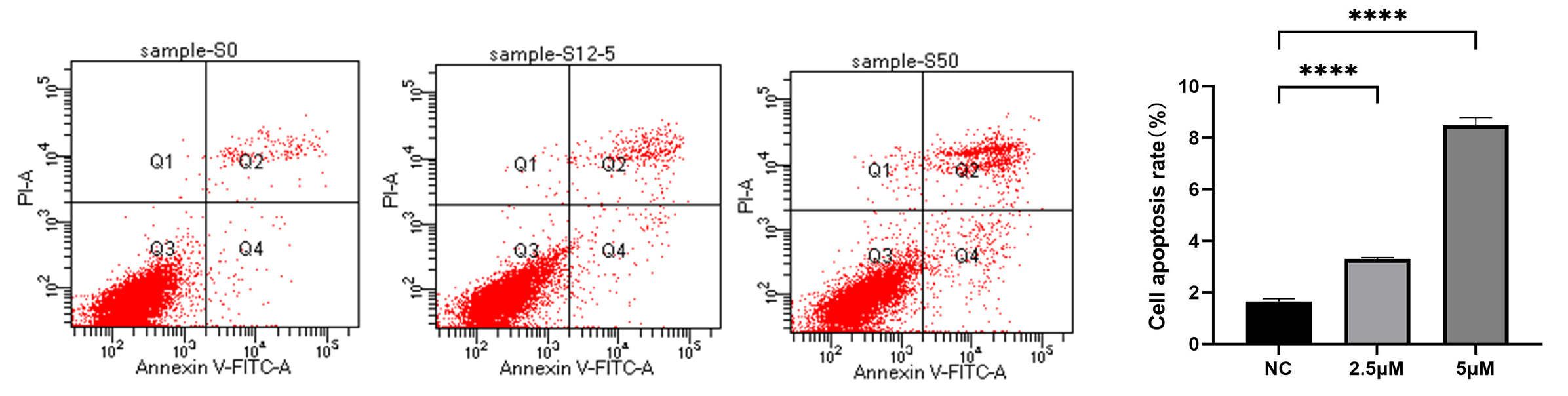 细胞功能检测|流式细胞术检测细胞凋亡