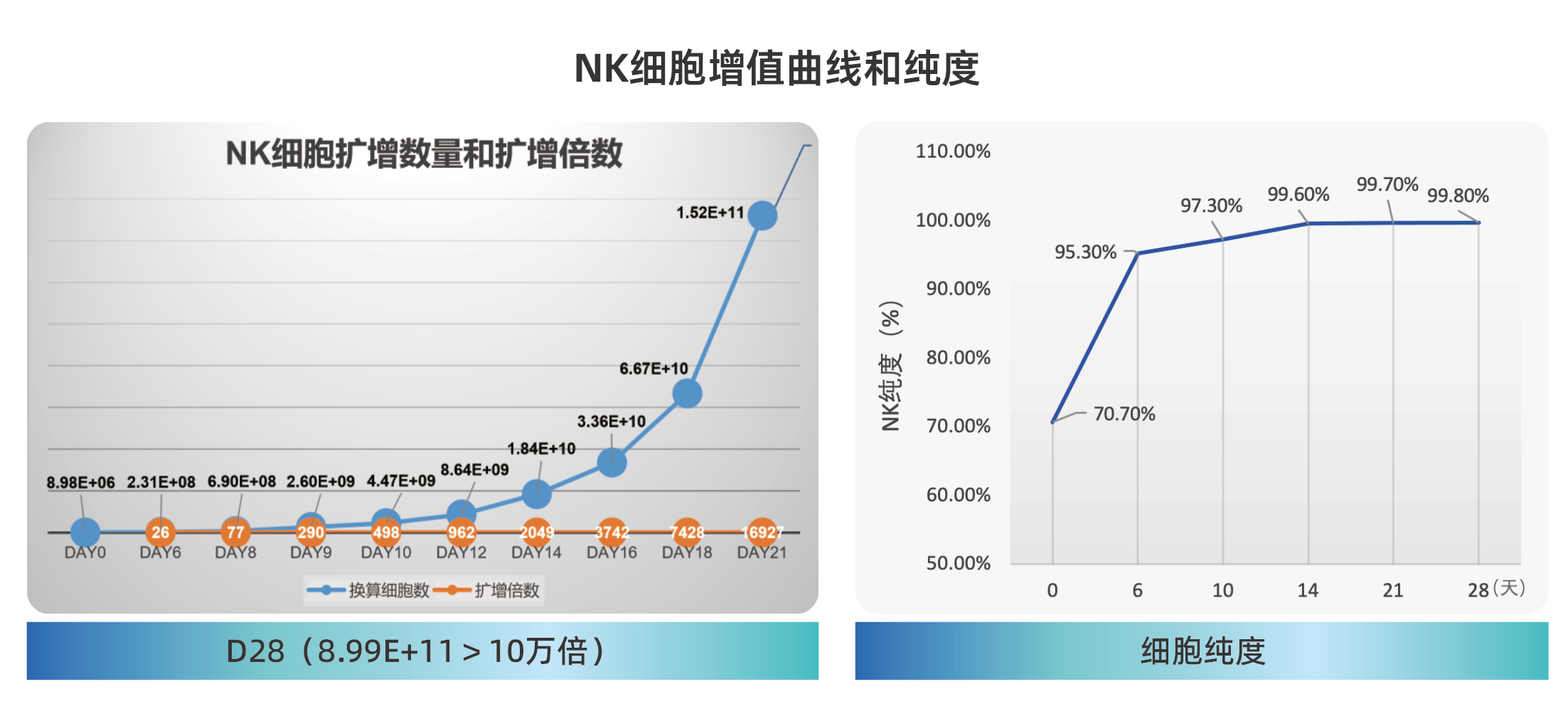 喜报 | 华辰生物NK细胞制备体系获美国FDA DMF备案,推动细胞治疗产业标准化发展