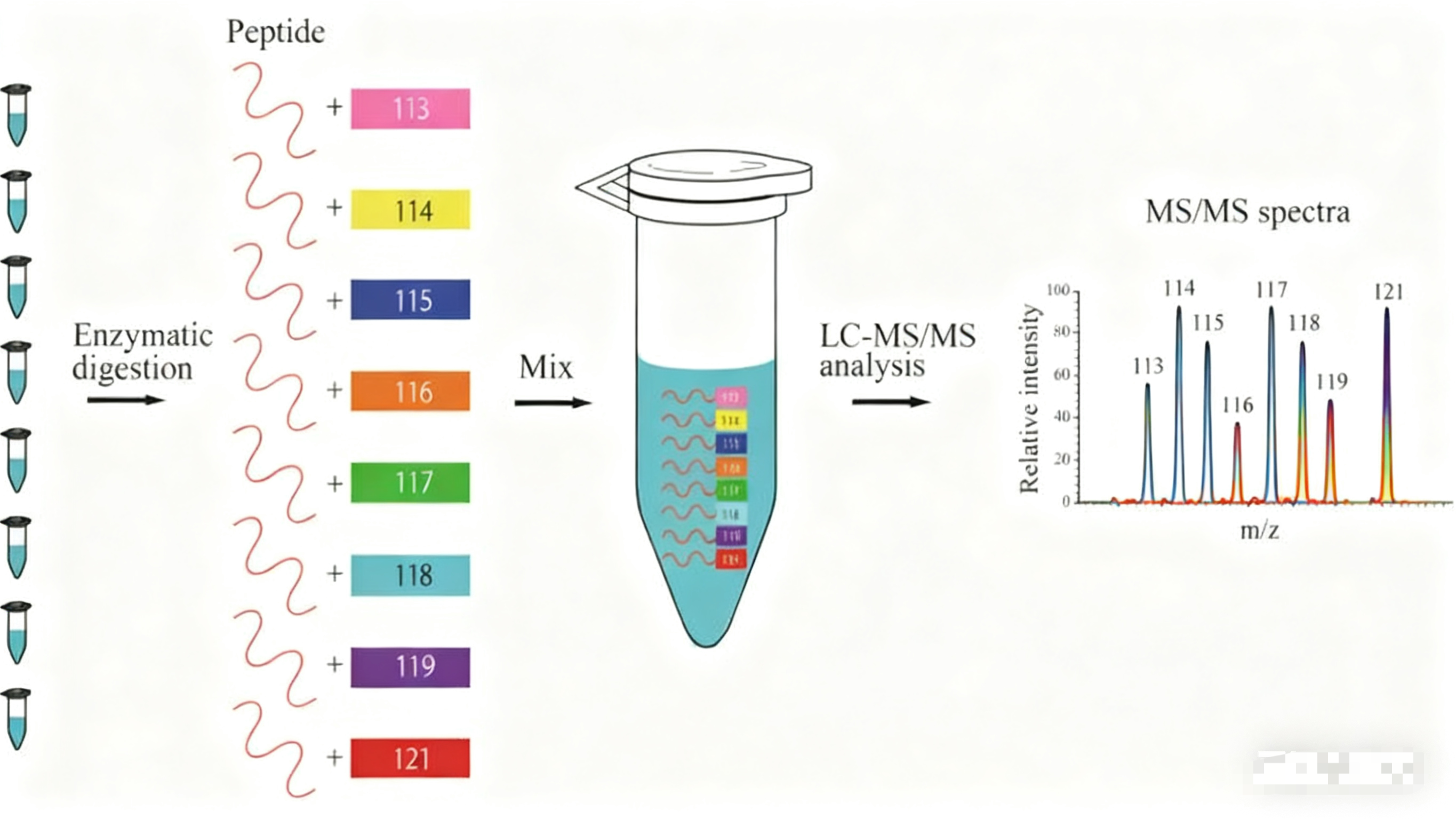 蛋白质组定量技术：方法选择与质控要点解析