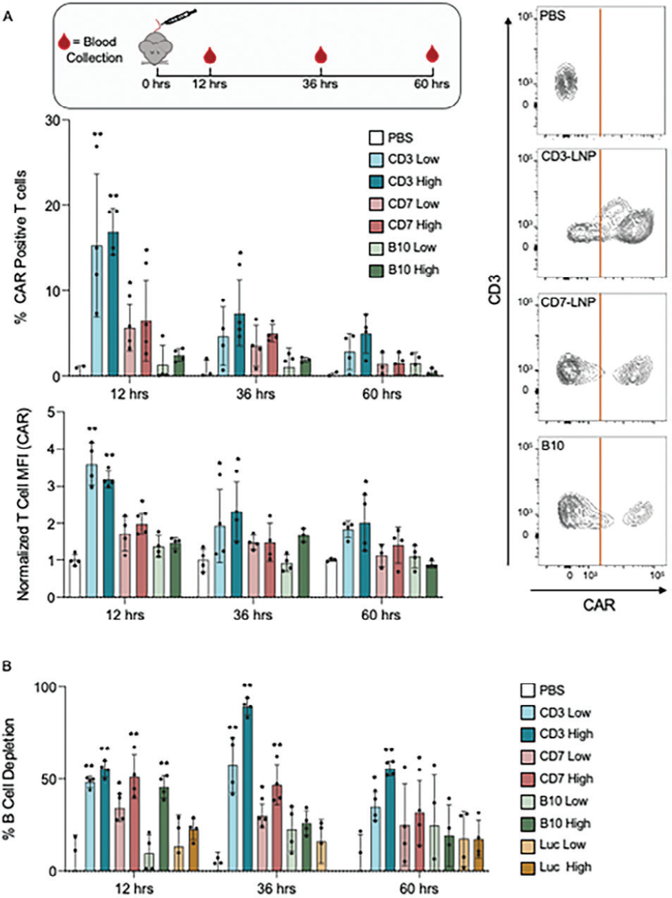 Ab-LNP在体内成功生成CAR-T细胞并清除B细胞 Ab-LNP在体内成功生成CAR-T细胞并清除B细胞