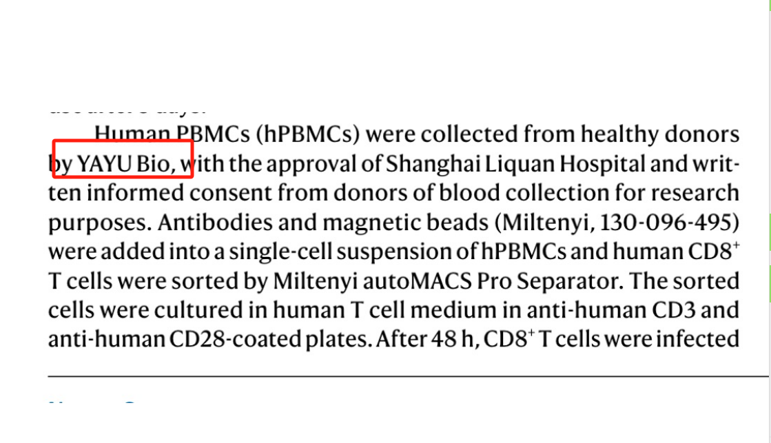 Human分离PBMC细胞(冻存服务)19121878899