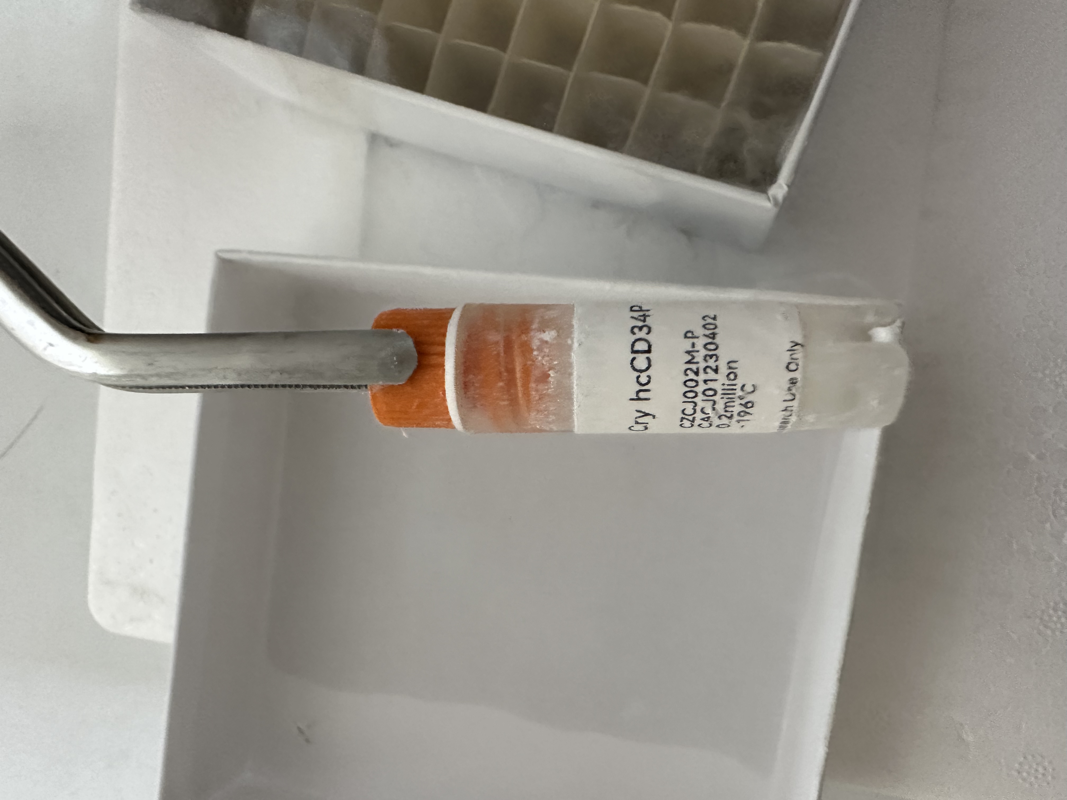 Human分离PBMC细胞(冻存服务)19121878899