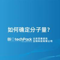 如何确定分子量?