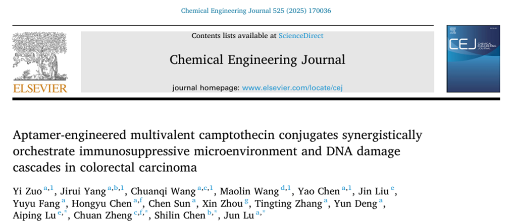 科技前沿丨核酸适配体工程化多价喜树碱偶联物协同治疗结直肠癌