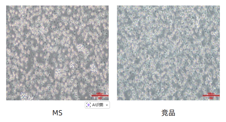 Milecell MagSep™ CD14阳选磁珠