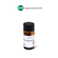 单壁碳纳米管（ SWCNTs）