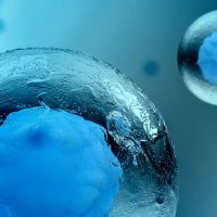 植物外泌体（生姜）