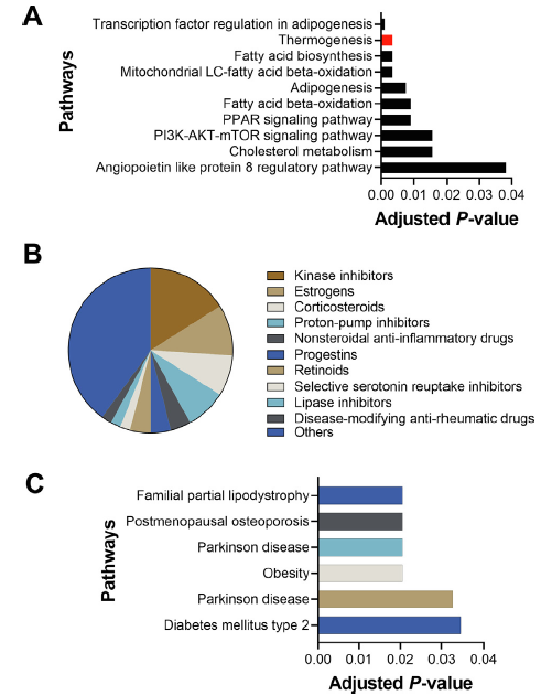 【文献解读】老药新用:兰索拉唑通过抑制PHOSPHO1改善代谢综合征的研究