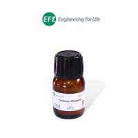 聚乙二醇-聚丙二醇-聚乙二醇 (F127)