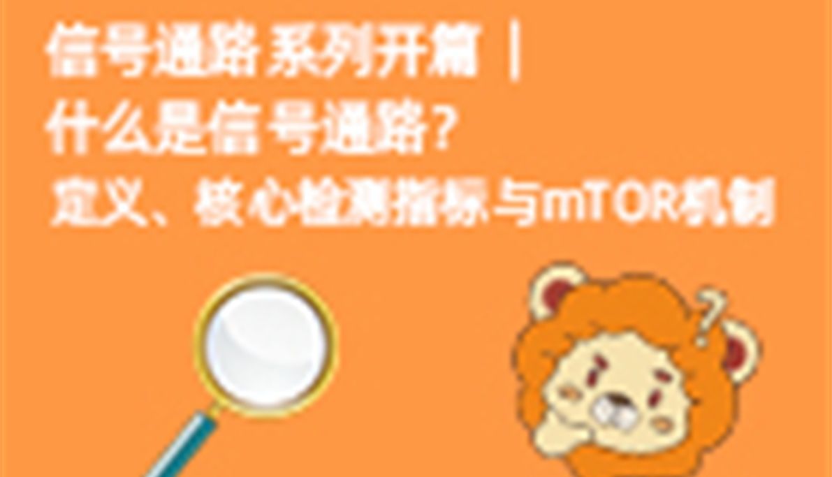 信号通路系列开篇｜什么是信号通路？定义、核心检测指标与mTOR机制 | abinScience