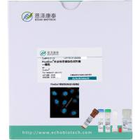 5折-FluoExo®外泌体示踪染色试剂盒-绿色