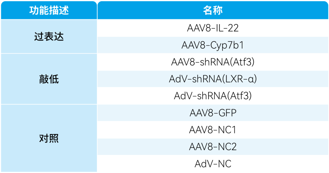 【AAV在肝脏疾病中的应用】上海交大医学院胡承/陆炎研究员团队揭示肝脏IL22RA1通过氧化甾醇3βHCA调控肝脂肪变性的机制