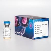 Milecell MagSep™ CD4阳选磁珠