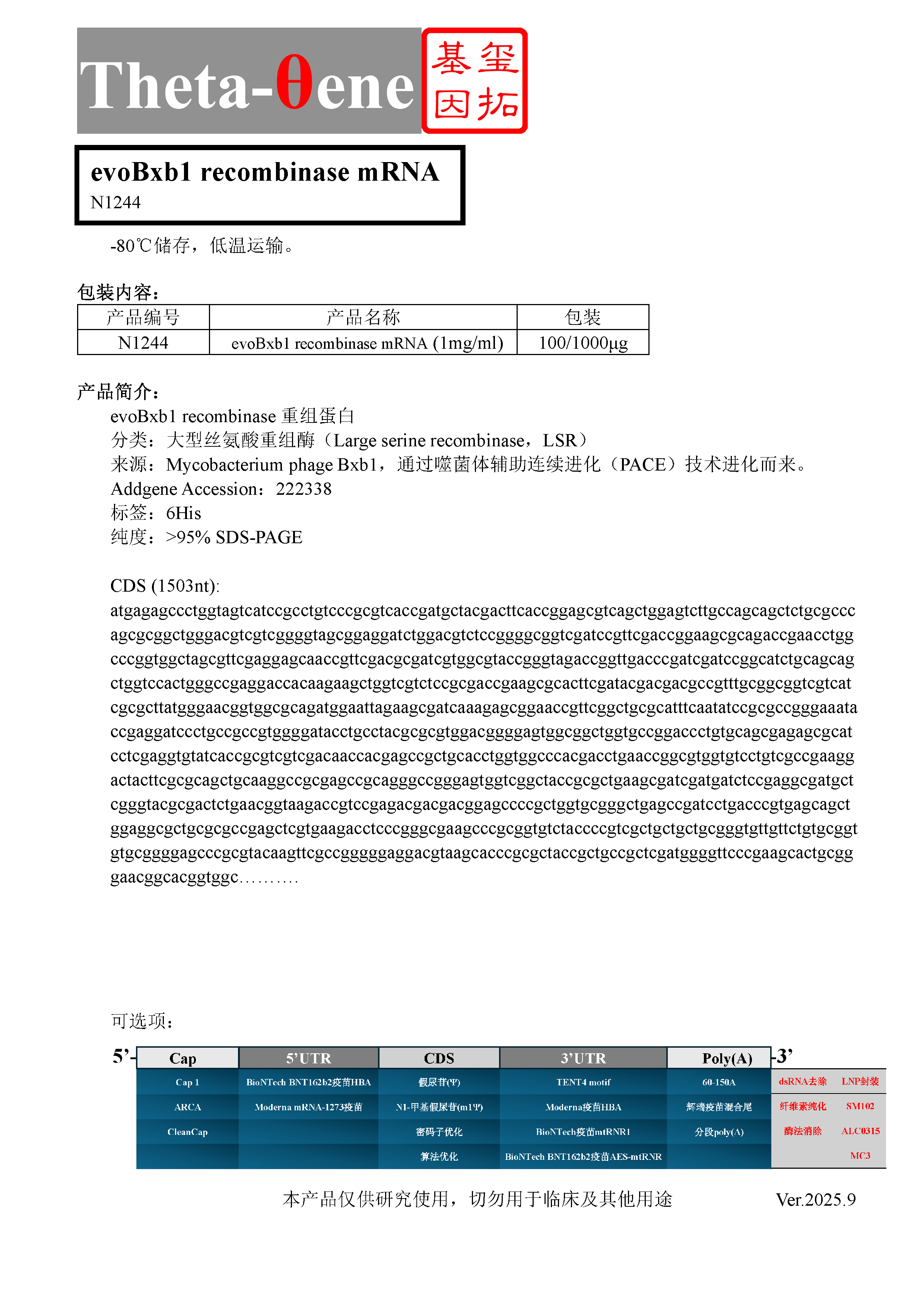 evoBxb1 recombinase mRNA