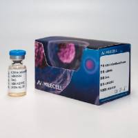 Milecell MagSep™ CD14阳选磁珠