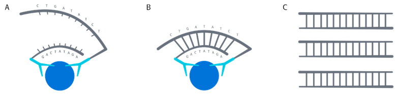 出色设计 + 优质数据：蛋白质组学研究设计指南（含 PEA 技术深度解析）