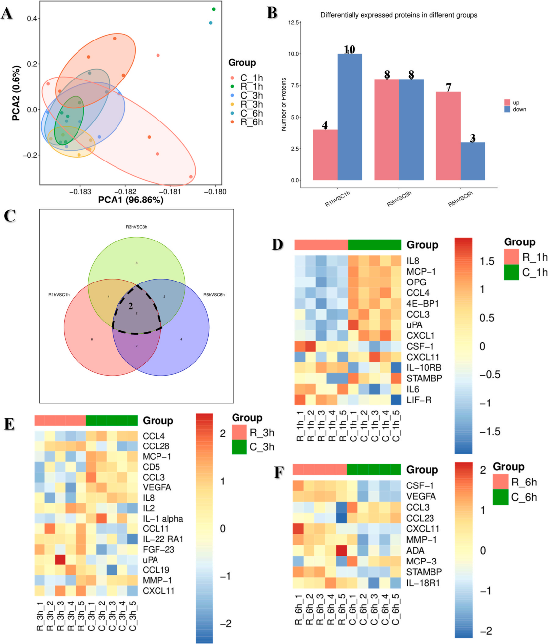 微波辐射诱导iPSC-CMs中NF-κB介导的自主炎症反应的时间研究