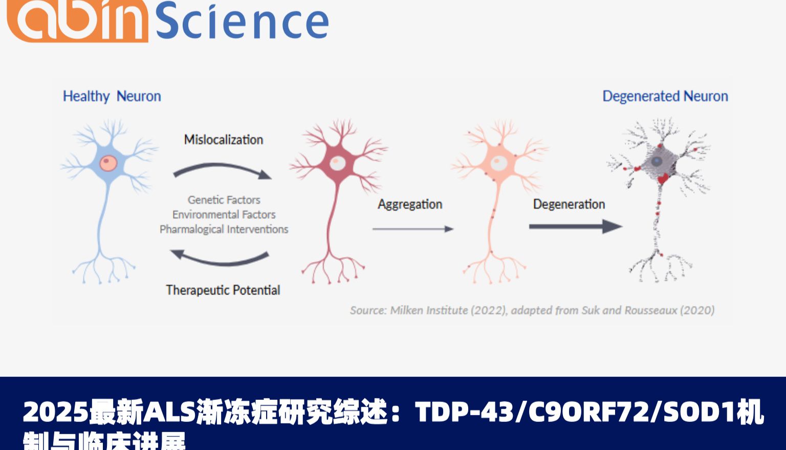2025新ALS（渐冻症）研究综述：TDP-43蛋白病、C9ORF72、SOD1、FUS四大核心靶点机制解读