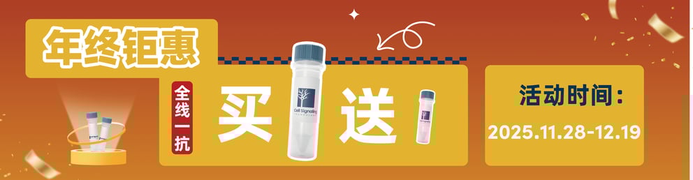 CST年终钜惠，全线一抗买大送小