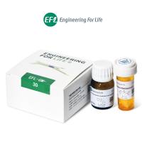 甲基丙烯酰化明胶(Gel MA)