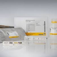 RIDA®QUICK Ochratoxin ECO 赭曲霉毒素试纸