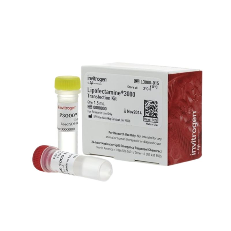 Invitrogen：L3000015-1.5ml， 脂质体3000转染试剂 *原装正品   L3000-015