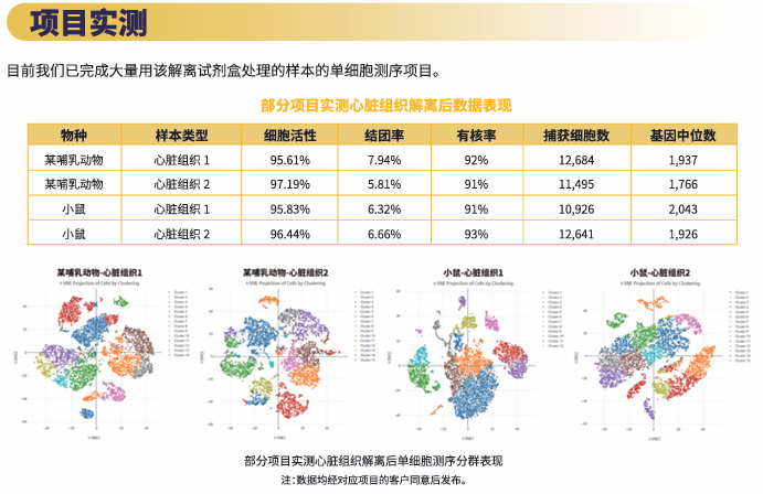 实验秘诀 | 百奥益康心脏解离试剂盒使用攻略及注意事项