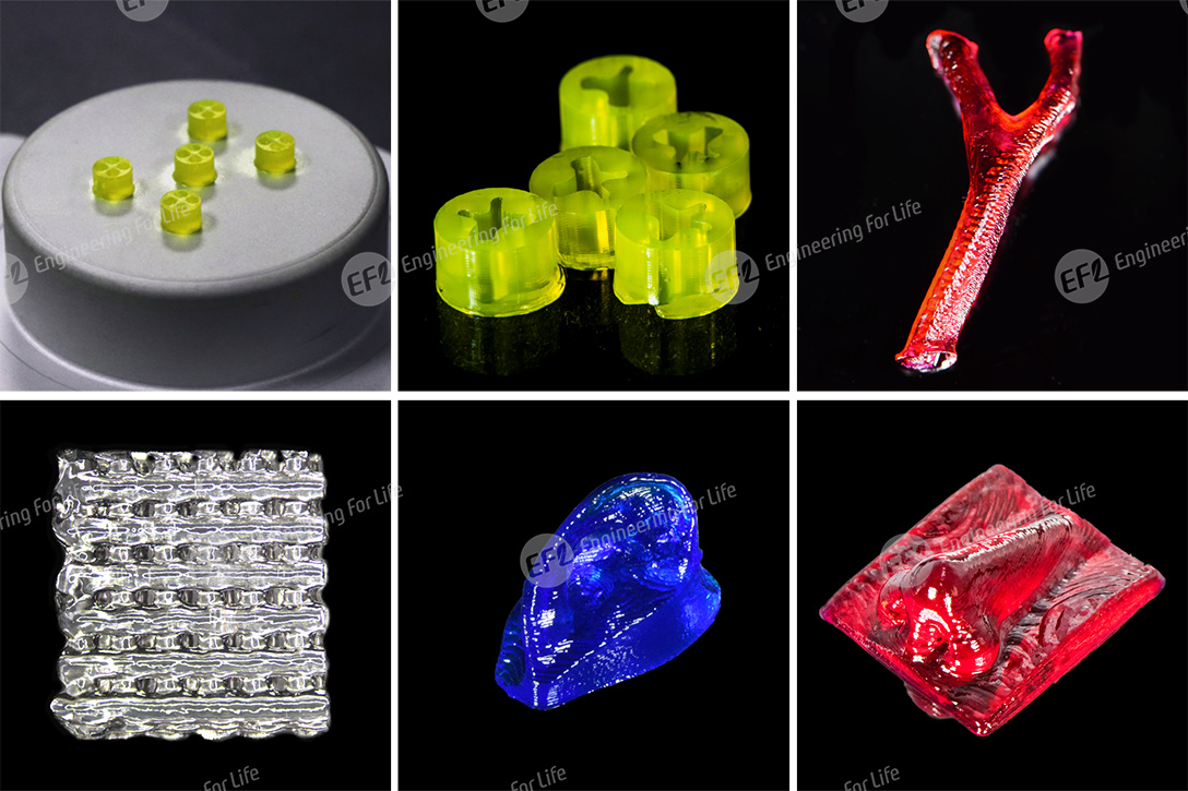 甲基丙烯酰化明胶(GelMA) 甲基丙烯酰化明胶(GelMA)